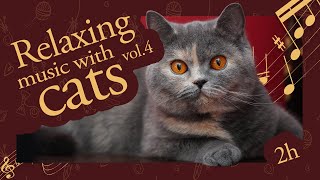 Relaxing Music with British Shorthair Cats vol. 4 | 2 Hours of LoFi Chill Vibes