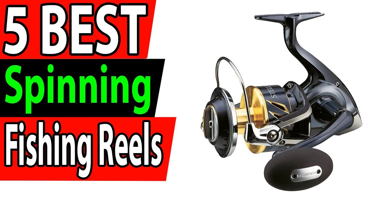 5 Best Spinning Fishing Reels On Aliexpress 2024 - YouTube