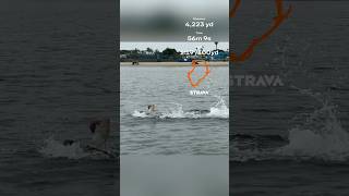 Open Water Swim Practice @ Newport Beach