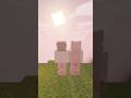 minecraft'ta ev ve yuvanın farkı🥹🌸#minecraft #minecraftideas #minecraftpov #evori #evoricraft