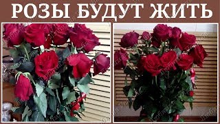 How to revive roses in the bouquet . How to revive wilting roses