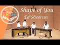 Shape of You (Ed Sheeran) / Marimba & Percussion【シェイプ・オブ・ユー】マリンバ & 打楽器(Sheet Music)