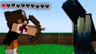 I Survived Minecraft Without Armor