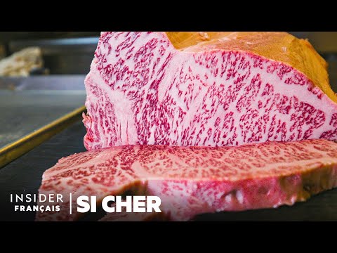 Vidéo: Le bœuf wagyu est-il élevé humainement ?