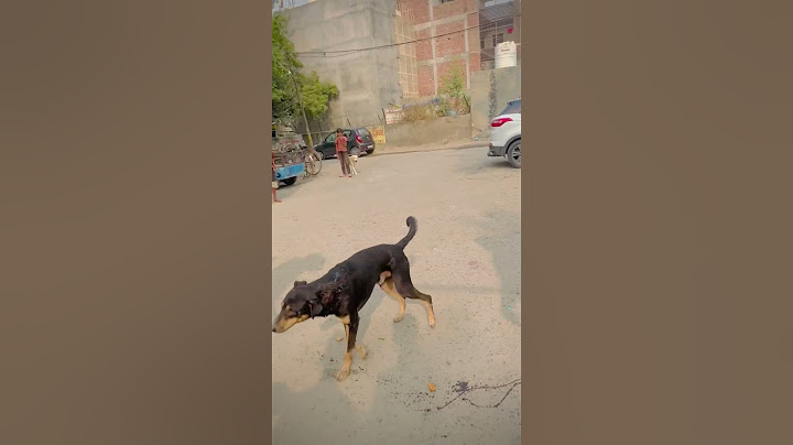🥺🐶🙏🏻 #streetdog  #jaishreeram #helpbygod #trend #ytshorts #doglover #helpdogs #viralshorts