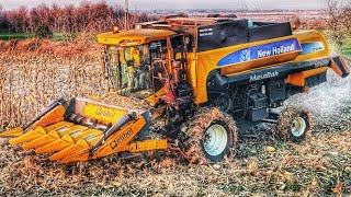 MISIR HASADI NEWHOLLAND CS540 | Vlog 2