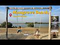 Family Trip to Mangrove Beach Umm Al Quwain ❤️ | UAE Vlog #travelvlog