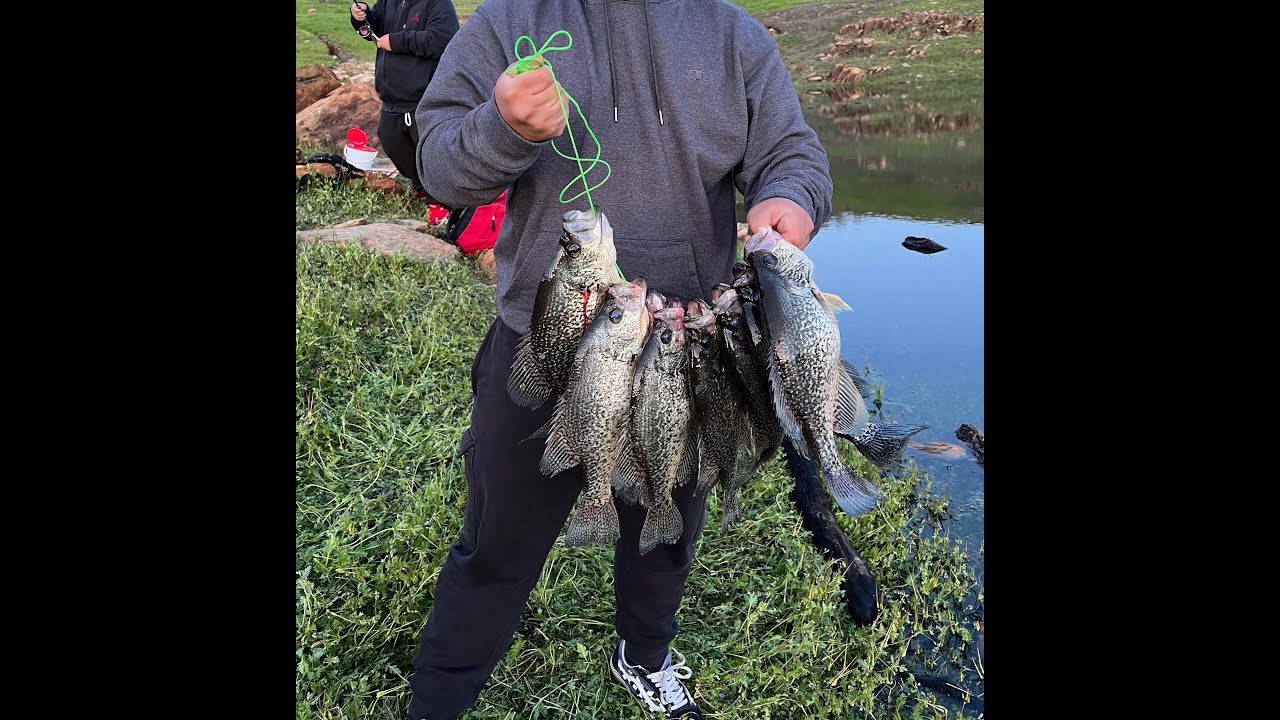 HUGE Crappie at New Melones Lake (SLABSSSS!!)