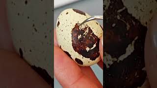 Скалер. Видео для заказчика. #видеораспаковка #визуальныйконтент #распаковка #видеосъемка