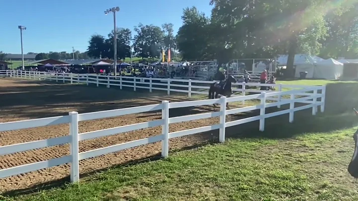 Equine Affair App 2022- Kimberly Soderberg and Josie