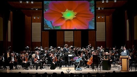 Music + Math: Not just Numbers