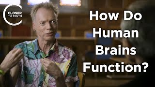 Andy Clark - How Do Human Brains Function?