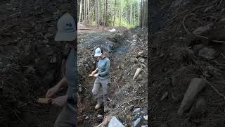 ⛏️ Preparing trench for septic pipe