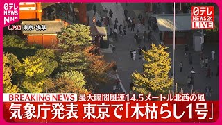 【速報】東京で「木枯らし1号」  2020年以来3年ぶり
