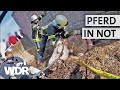 Pferd in Jauchegrube gestürzt | Feuer & Flamme | Staffel 2 | WDR