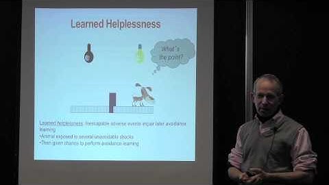 Chapter 10: Emotional Learning and Memory