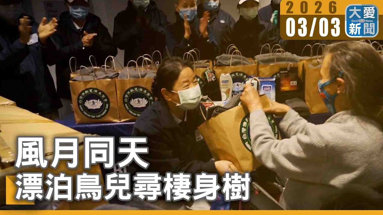 風月同天｜漂泊鳥兒尋棲身樹｜#大愛新聞 #風月同天 #溫哥華