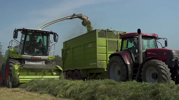Kehoe Farming - Battle of the Jaguars