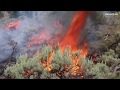 Climate Change: Impacts, Causes, and Solutions