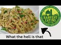 Orzo-Learn How To Cook Orzo Pasta