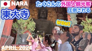 【奈良】東大寺を歩く2024春 外国人観光客もたくさん,大仏様の迫力に圧倒される Todaiji Temple in Nara, Japan