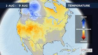 Monthly temperature forecast for the USA 7/29/2026