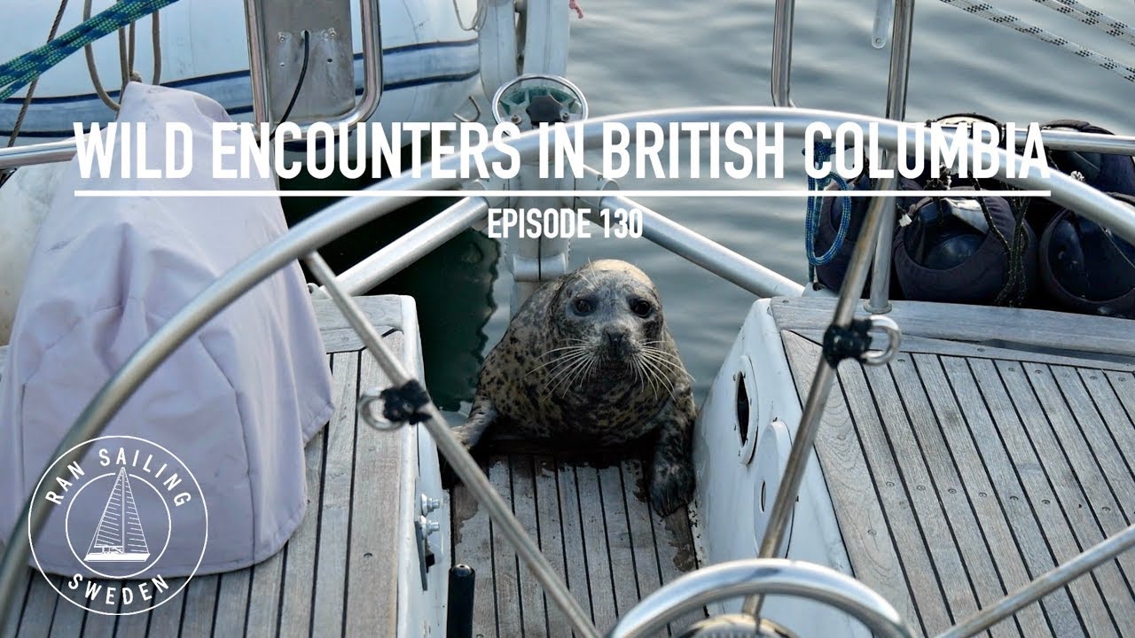 Wild Encounters In British Columbia – Ep. 130 RAN Sailing