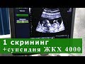 у Насти 1 СКРИНИНГ, сколько СУБСИДИЯ ЖКХ (ответ 4000)