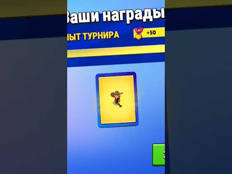 Прошëл турнир в stumble guys #stumbleguys #stumbleguyslive #stumble #guy #guys #стамблгайс #стамбл