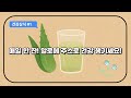 매일 한 잔, 알로에 주스로 건강 지키세요