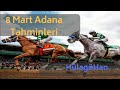 Bay Gölge ile At Yarışı Tahminleri - YouTube