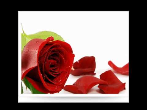 Kiss from a rose - Leo Mancini.wmv