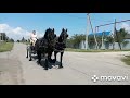 Подготовка к фотосессии с каретой в Замке Гарибальди 🏰 🐎