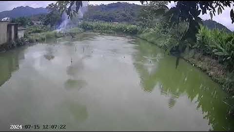 Đang câu cá, người đàn ông bị điện giật tử vong