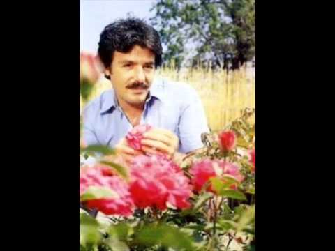 Ferdi Tayfur - Sanma ki Bir Tanem Seni Sevmedim