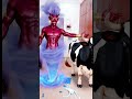 Marvelous Dancing Polish Cow genie magic strawberry asmr cow dance Cow Videos animal funny video