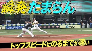 【瞬発たまらん】源田壮亮『トップスピードに乗るのが速い』