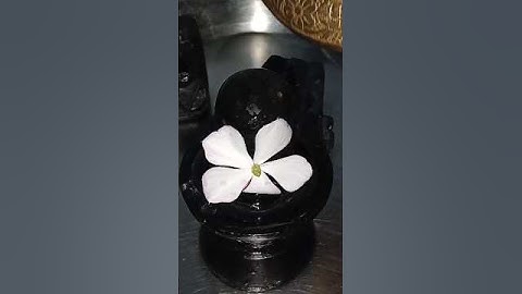 जिस जिन घरों में शिवलिंग रखा है नहाने से ध्यान दें #Pandit Ji Pradeep Mishra #upay #shivmahapuran #