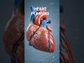 The pump inside your body #medicalanimation #3danimation #3danimation #healthcare