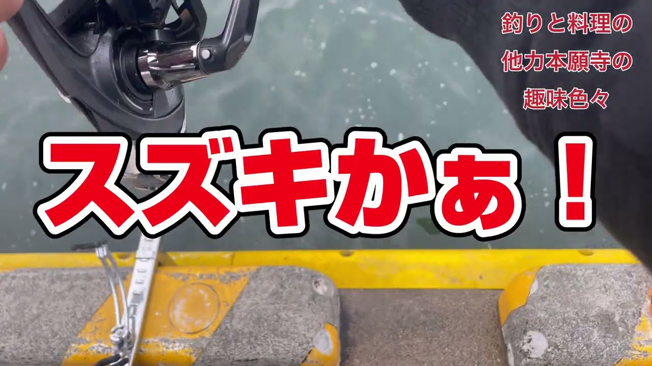 泳がせ釣り！今年6本目の釣果は…？