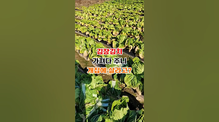 김장김치 가져다 주니 개집에 살라고? #shorts #김장 #김치 #며느리 # 개 # 개집 # 강아지 #사이다 #쇼츠