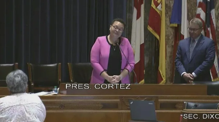 Senator Karen Carter Peterson resigns to focus on ...
