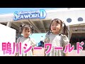 【大興奮】鴨川シーワールドを大満喫のゆねここ