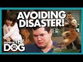 Can Victoria Prevent an Attack Dog in the Family Causing Disaster? |  It's Me or The Dog