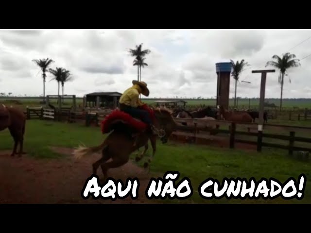 Cavalo pulado. . Aí não cunhado é pantaneiro 