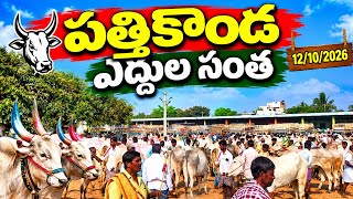Pattikonda monday bulls market videos 2026 // సోమవారం పత్తికొండ ఎద్దుల సంత (12/10/2026)