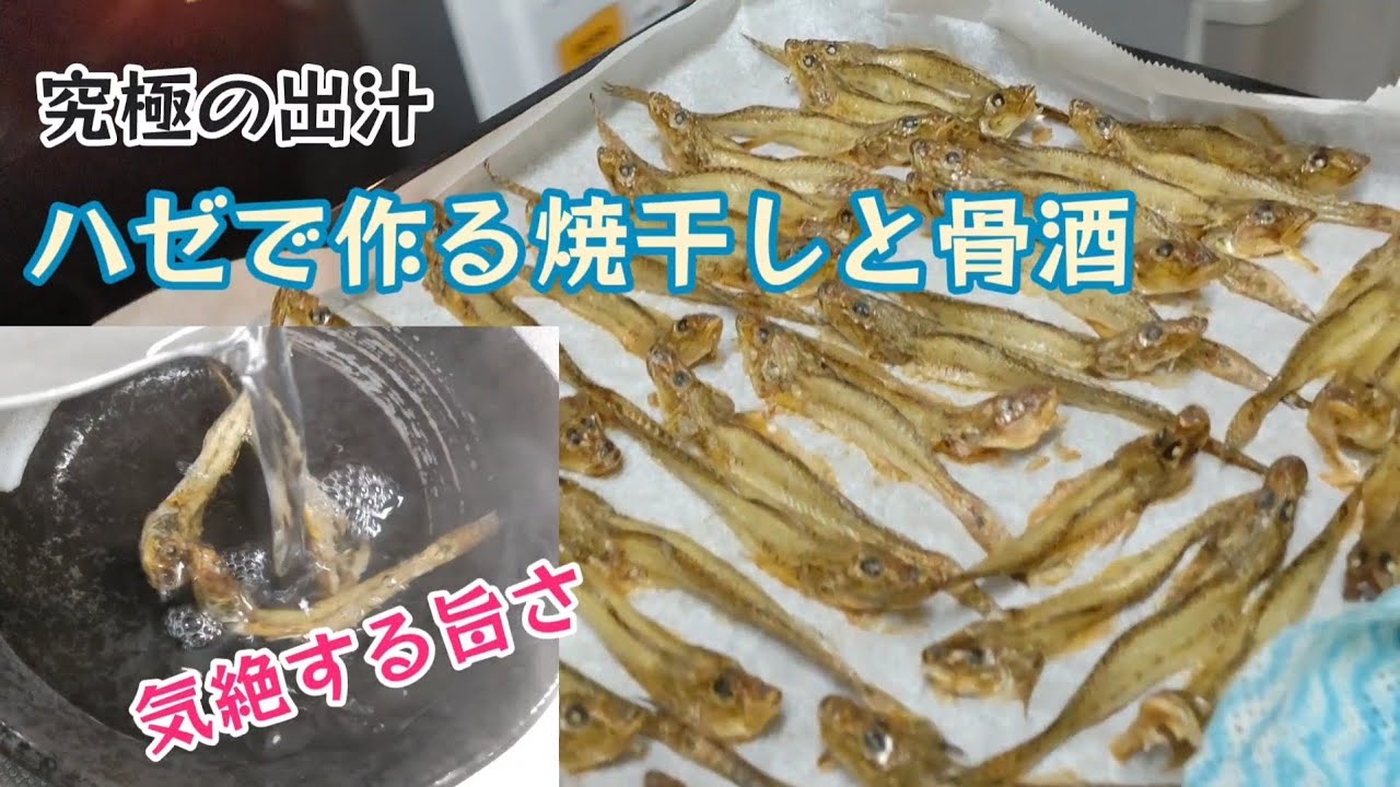 最高の旨味出汁 ハゼを釣って焼干しと骨酒を作る 石川県能登の釣り Youtube