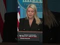 Karoline Leavitt condemns political violence from the left