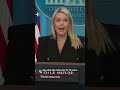Karoline Leavitt condemns political violence from the left