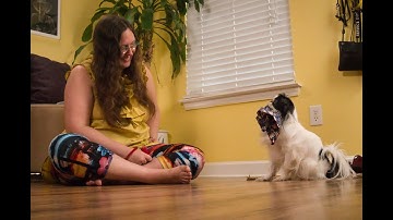 Teaching retrieve, check-in 5